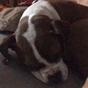 Meet your Posher, Wendy